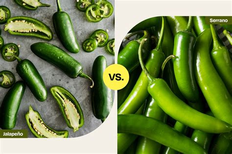are serrano peppers similar to jalapenos